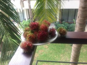 Rambutan