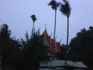 Plai Laem - Palm tree growing through roof