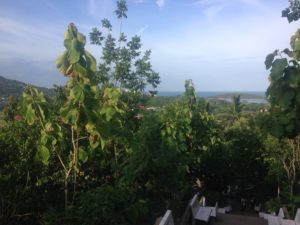 View from Chaweng Buddhist temple