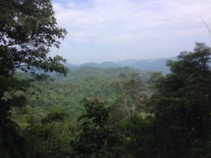 Pai - Huai Nam Dang National Park