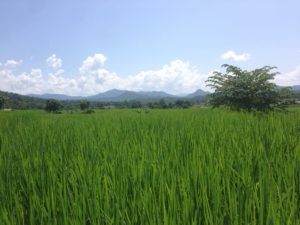 View of Pai valley from down below