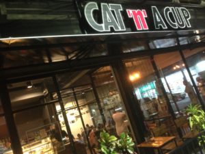 Cat ‘n A Cup coffee shop and bakery