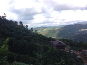 Doi Chaang Coffee Farm