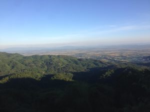 Doi Tung viewpoint