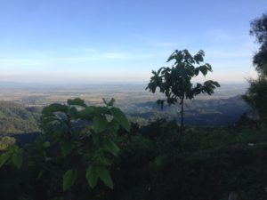 Doi Tung viewpoint