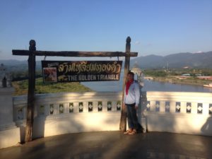 Golden Triangle seen from the hill