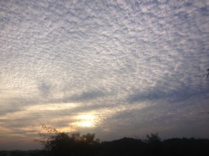 Cloudy view from the balcony