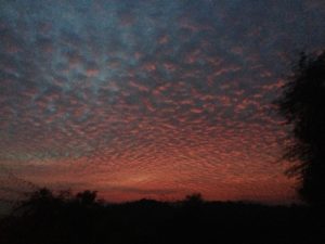 Cloudy view from the balcony