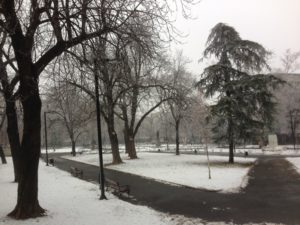 Belgrade - Student Park