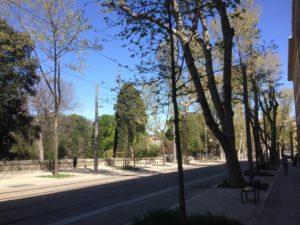 Scene of the million Messerschmitt flyover