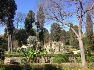 Jardin des plantes