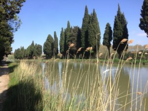 Canal du Midi