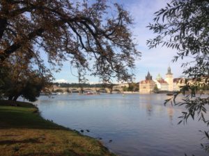 Island in Vltava River