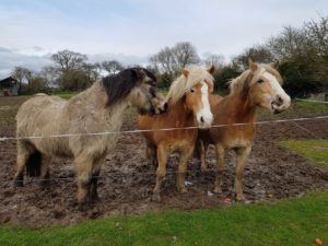 Frederic and Sylvie's farm