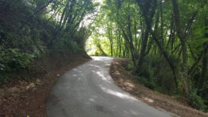 Road to Falcinello