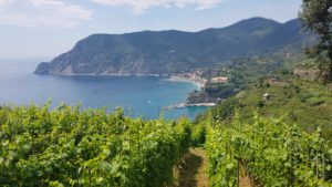 The trail between Monterosso al Mare and Vernazza