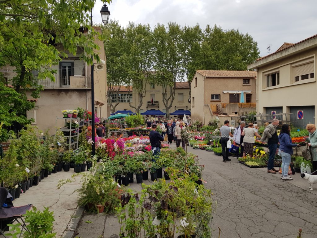 Floer festival in Saint-Thibery