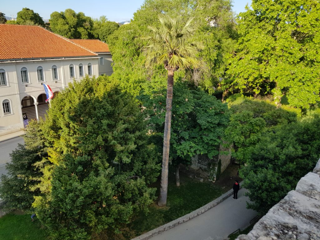 View from Paul and Claire's terrace