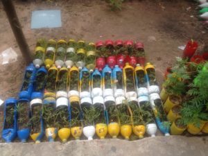 School's colourful flower boxes