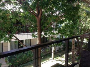 Apartment - Patio, view away from pool