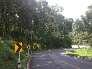 On the way back to Pai from the viewpoint