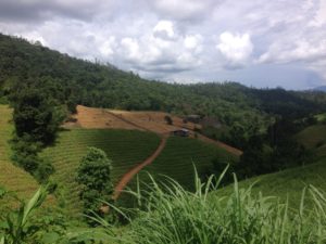 On the way back to Pai from the viewpoint