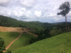 On the way back to Pai from the viewpoint