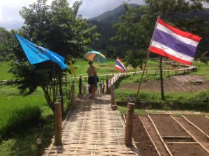 Bamboo walkway over rice fields