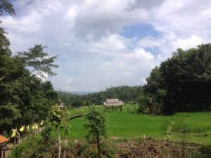 Bamboo walkway over rice fields - Buddhist Temple