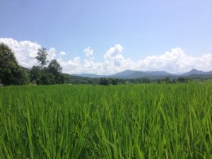 View of Pai valley from down below