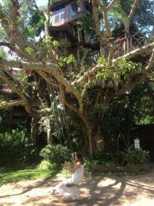 Tree House Resort