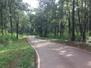 Road from Lod Cave