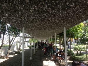 Wat Rong Khun - White temple