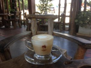 Doi Chaang Coffee Farm