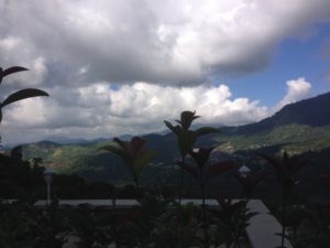 Doi Chaang Coffee Farm