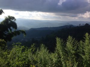 From Doi Chaang Coffee Farm to Chiang Rai