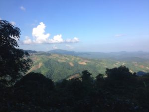 From Doi Chaang Coffee Farm to Chiang Rai