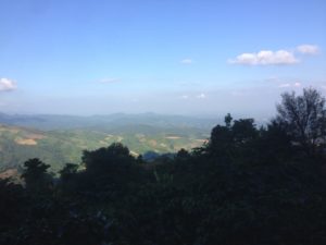 From Doi Chaang Coffee Farm to Chiang Rai