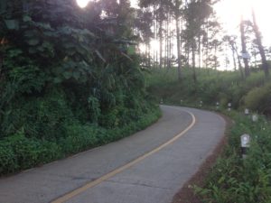 From Doi Chaang Coffee Farm to Chiang Rai