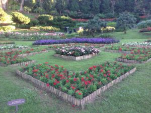 Mae Fa Luang gardens