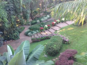 Mae Fa Luang gardens-View from Doi Tung Coffee