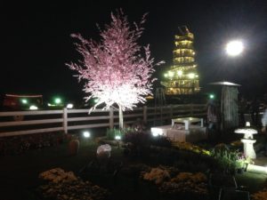 Singha Park