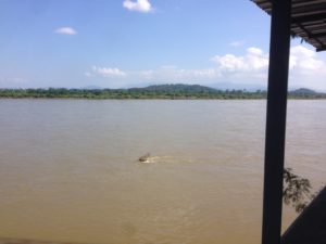 Mekong River