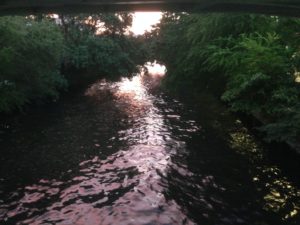 A river runs through it, Bangkok that is