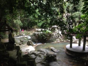 Tanim Magic Garden