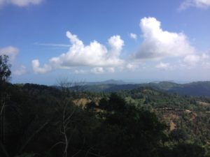 Pra Buddha Teepangkorn Temple