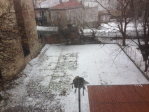 Belgrade - Snow in our hood