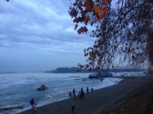 The Danube frozen over - Early evening