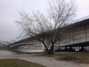 Bridge across the Sava River