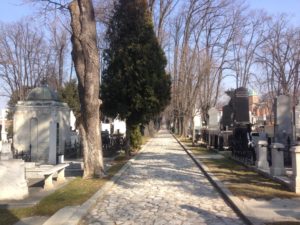 Belgrade’s New Cemetery